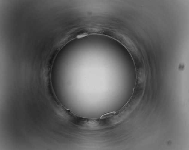 X0000103410409200809121310