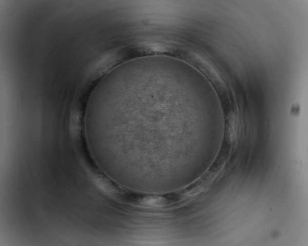 X0000103410410200809121310