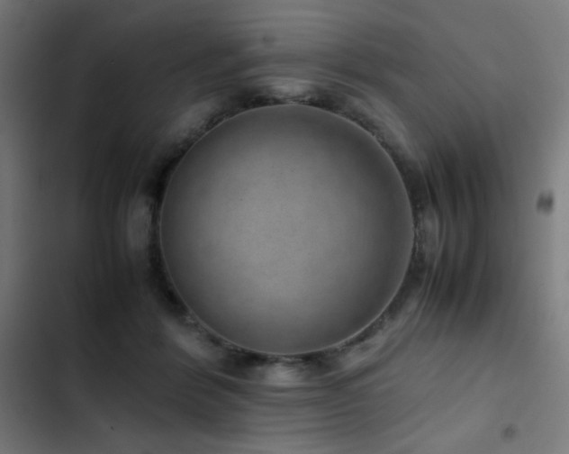 X0000103410412200809121310