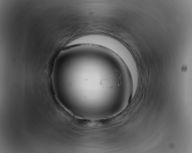 X0000103410415200809121310