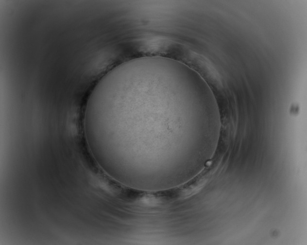 X0000103410416200809121310