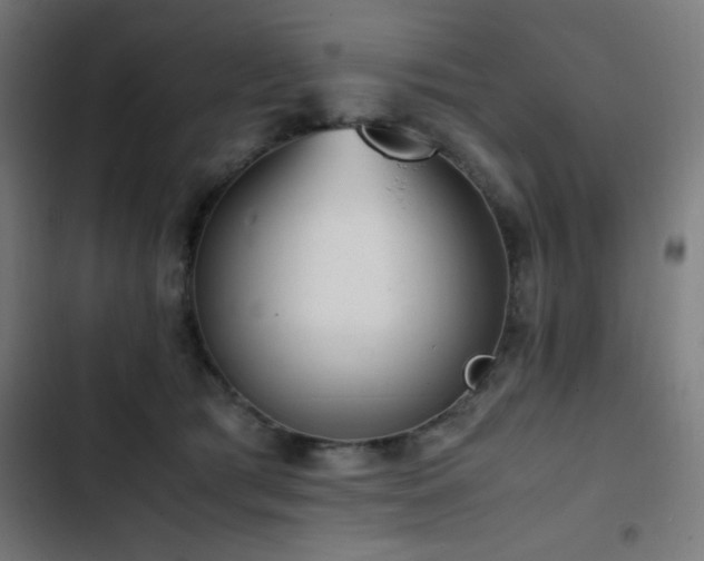 X0000103410417200809121310