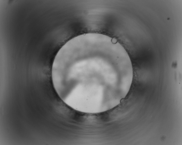 X0000103410419200809121310