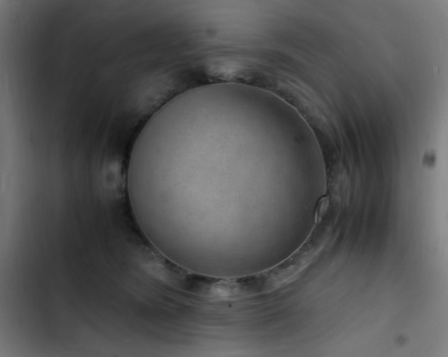 X0000103410420200809121310