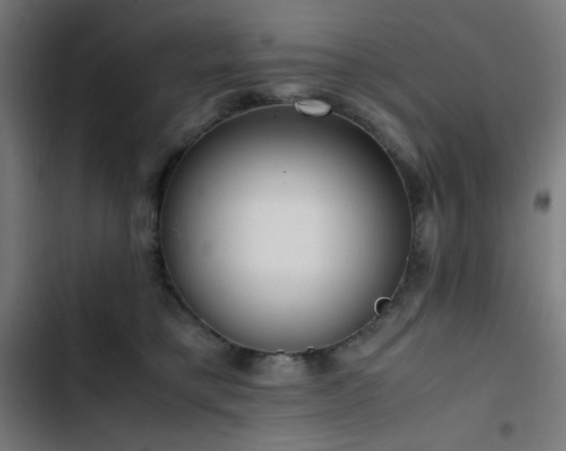 X0000103410421200809121310