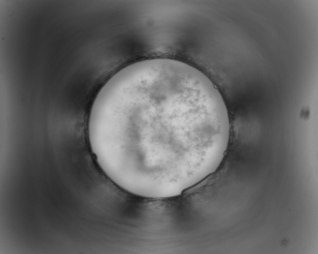 X0000103410423200809121310