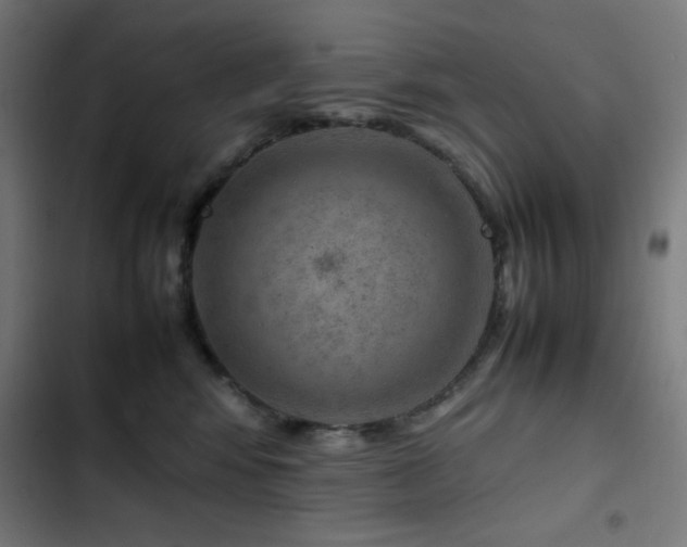 X0000103410424200809121310