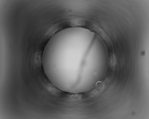 X0000103410426200809121310