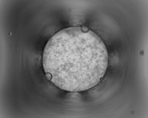 X0000103410427200809121310