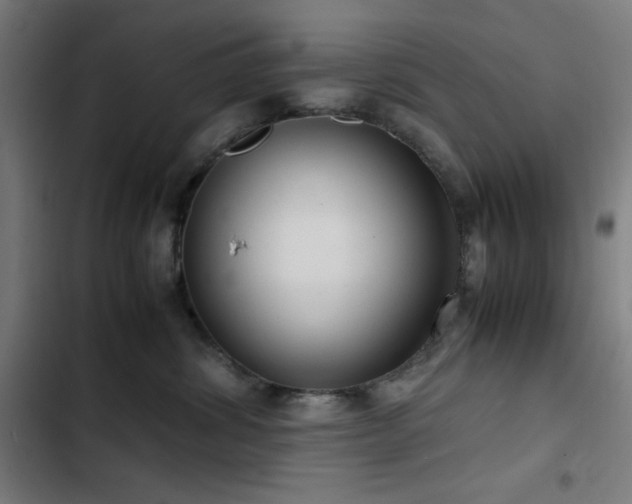 X0000103410428200809121310