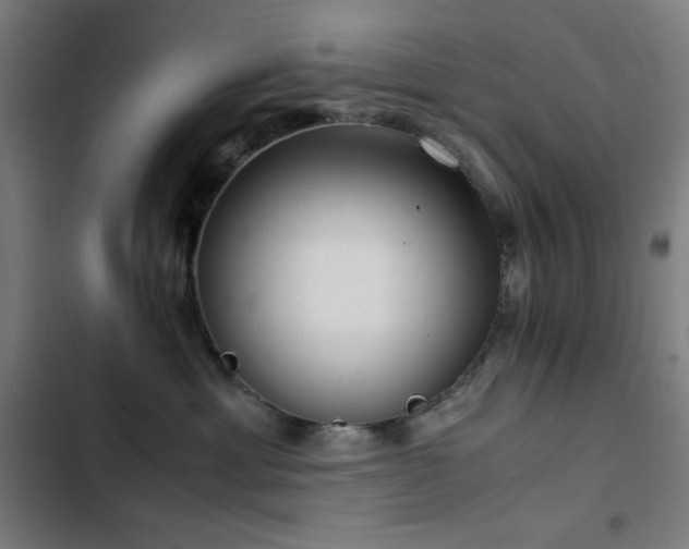 X0000103410429200809121310