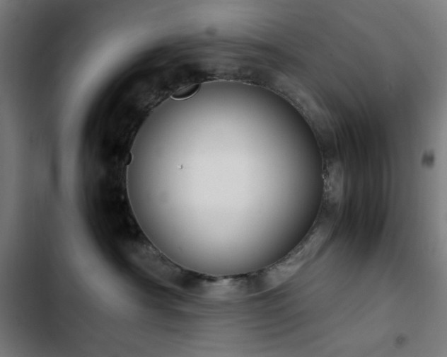 X0000103410430200809121310