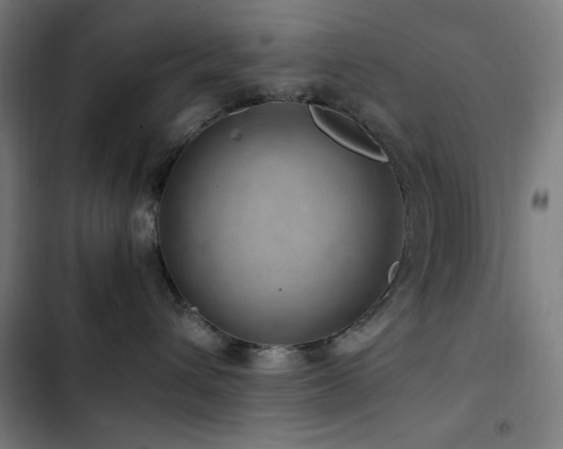 X0000103410432200809121310