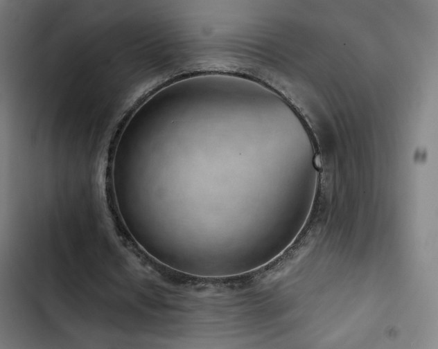 X0000103410434200809121309