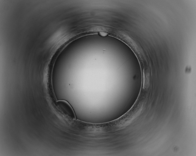 X0000103410435200809121309