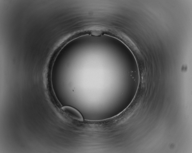 X0000103410436200809121309