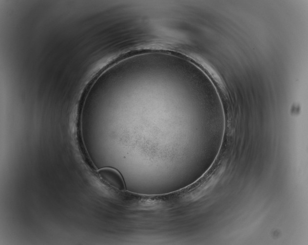 X0000103410437200809121309