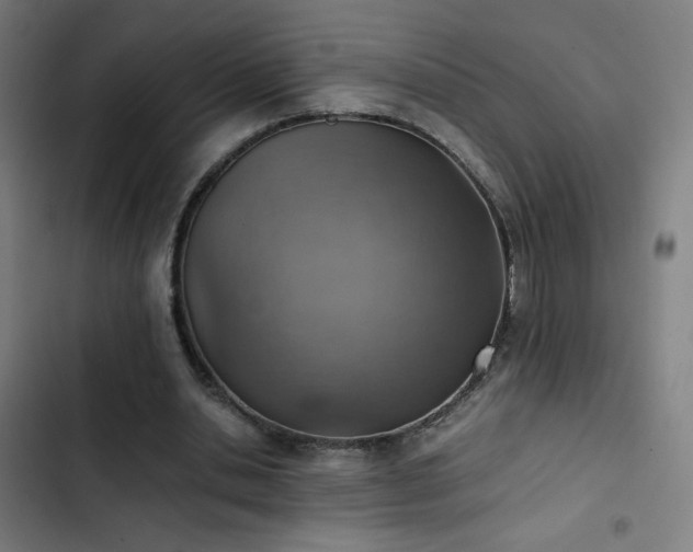 X0000103410438200809121309