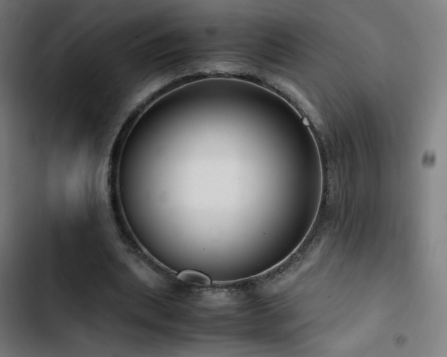 X0000103410439200809121309