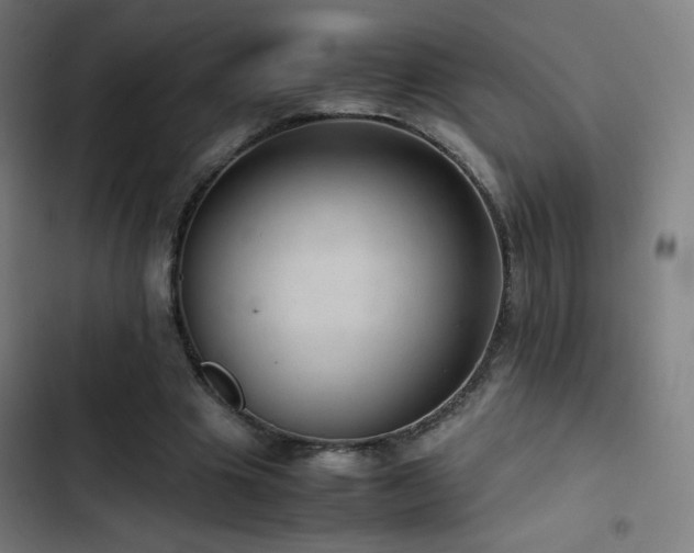 X0000103410441200809121309