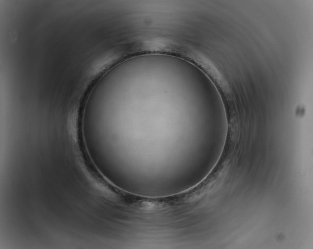 X0000103410442200809121309