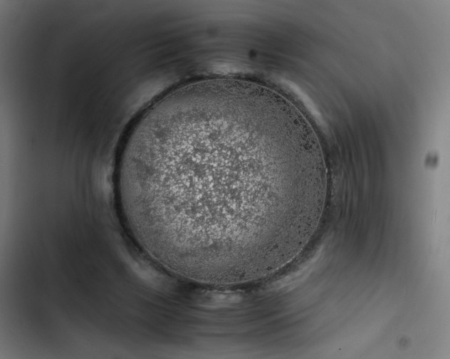 X0000103410443200809121309