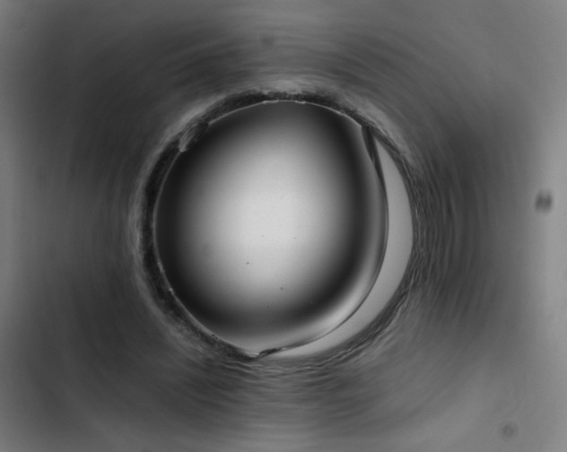 X0000103410444200809121309