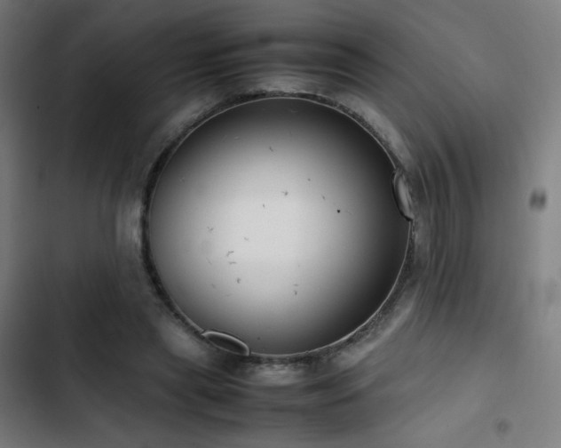 X0000103410445200809121309