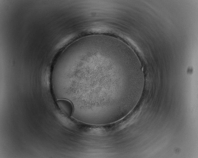 X0000103410446200809121309