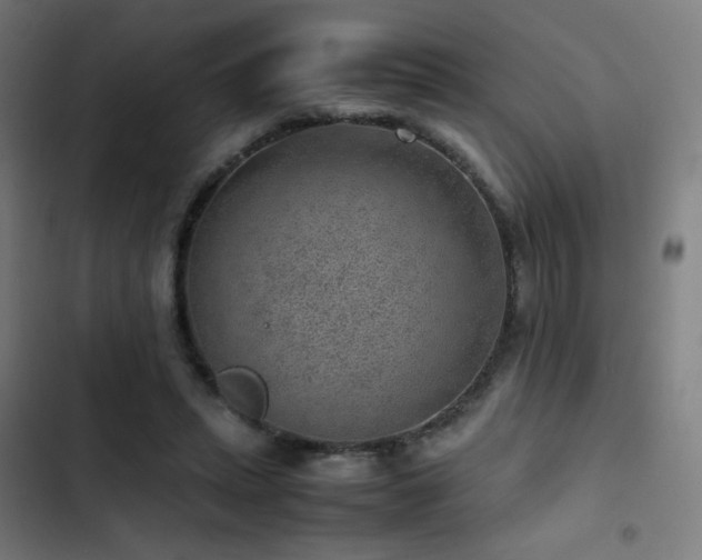 X0000103410447200809121309