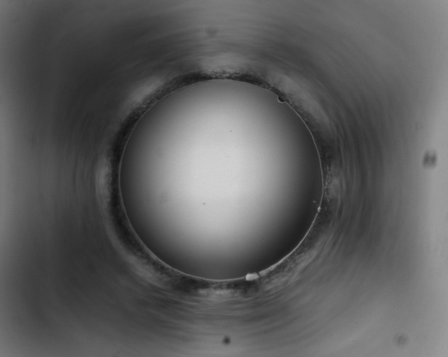 X0000103410448200809121309