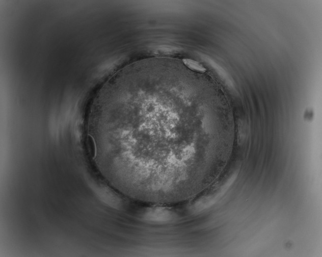 X0000103410451200809121309