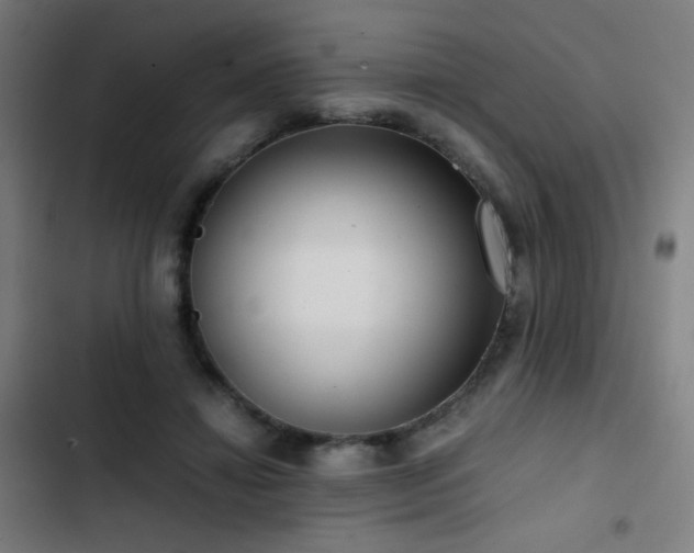 X0000103410452200809121309