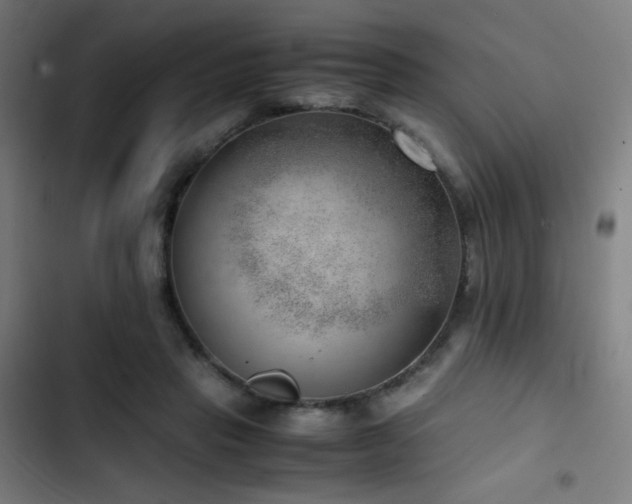 X0000103410453200809121309