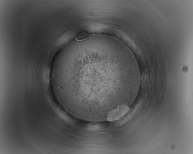 X0000103410454200809121309