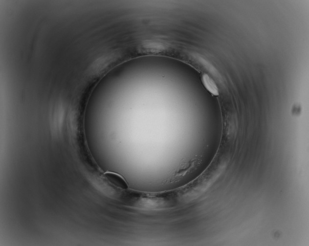 X0000103410455200809121309