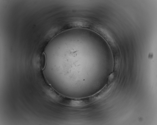 X0000103410457200809121309