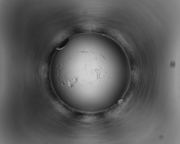 X0000103410458200809121309