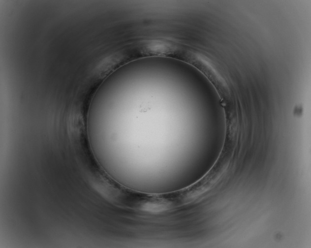 X0000103410459200809121309