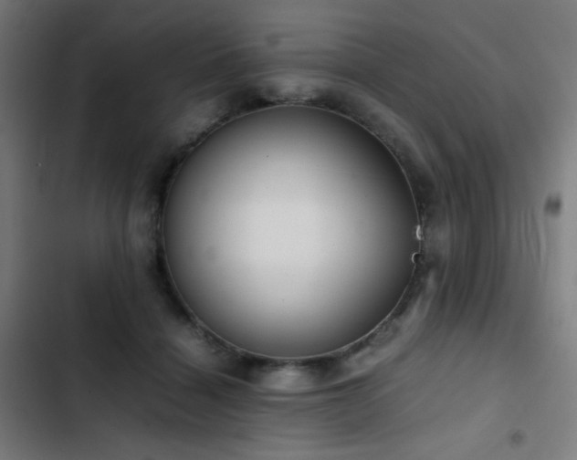 X0000103410460200809121309