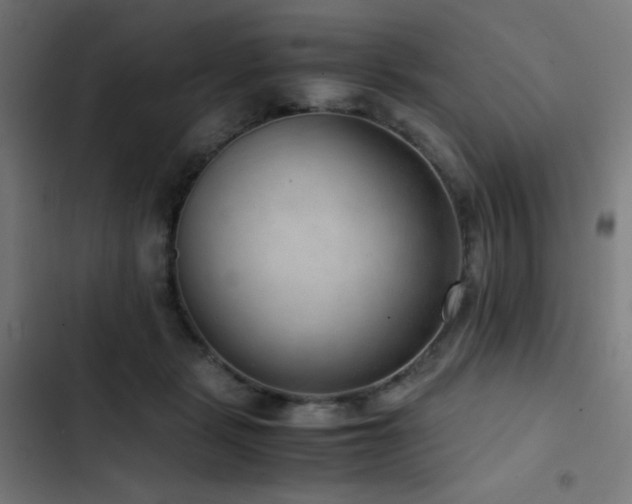 X0000103410461200809121309