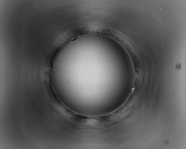 X0000103410462200809121309