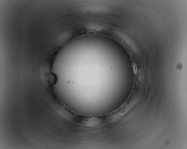 X0000103410463200809121309