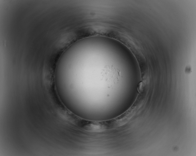 X0000103410464200809121309