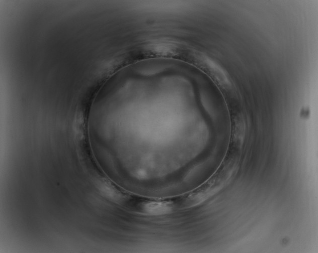 X0000103410465200809121309