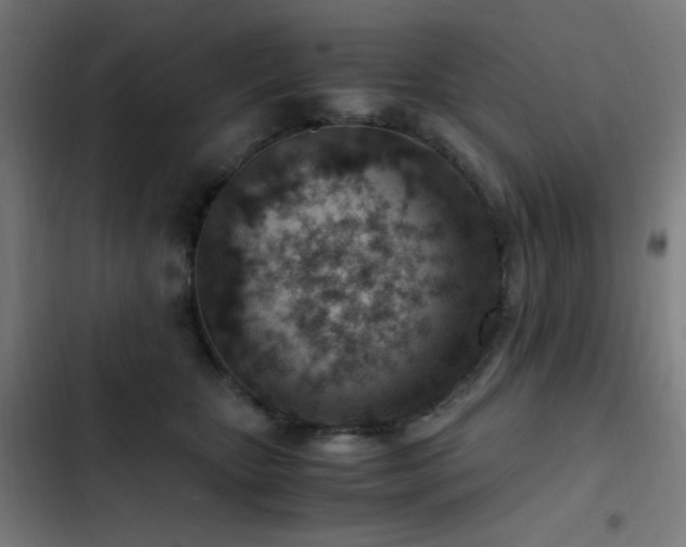 X0000103410467200809121309