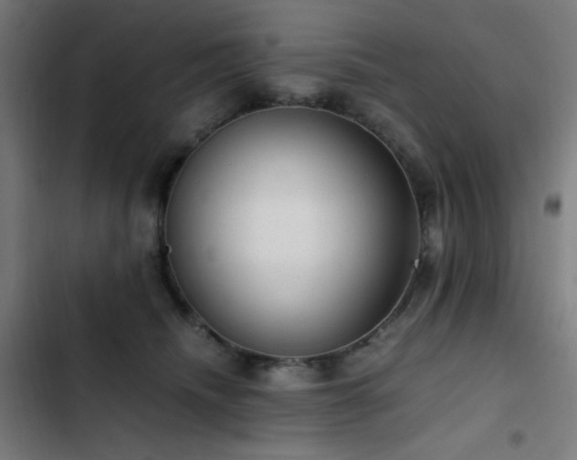 X0000103410468200809121309