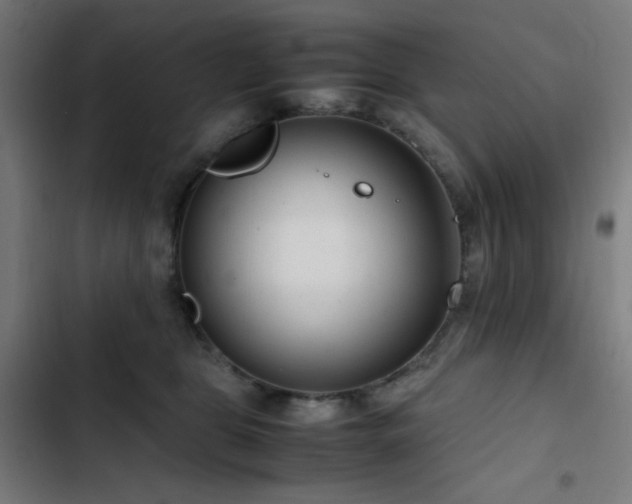 X0000103410469200809121309