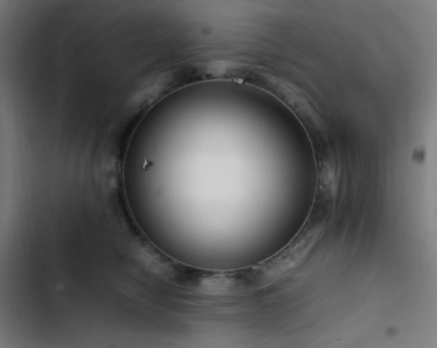 X0000103410470200809121309