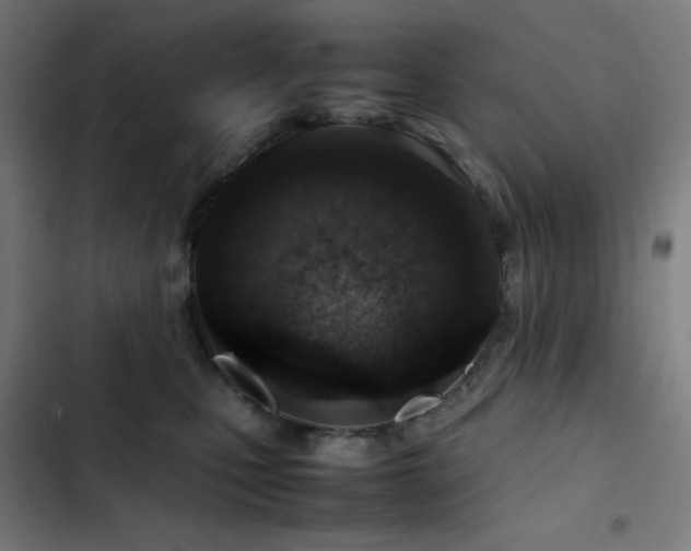 X0000103410471200809121309